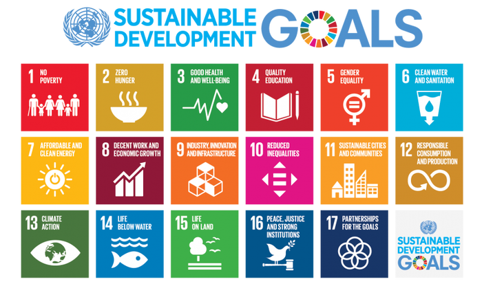 The United Nations Sustainable Development Goals (click the image to read detailed information about the goals)